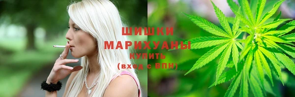 mdpv Медвежьегорск