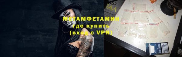 крисы Ростов