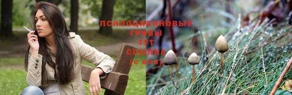 гашиш Медногорск